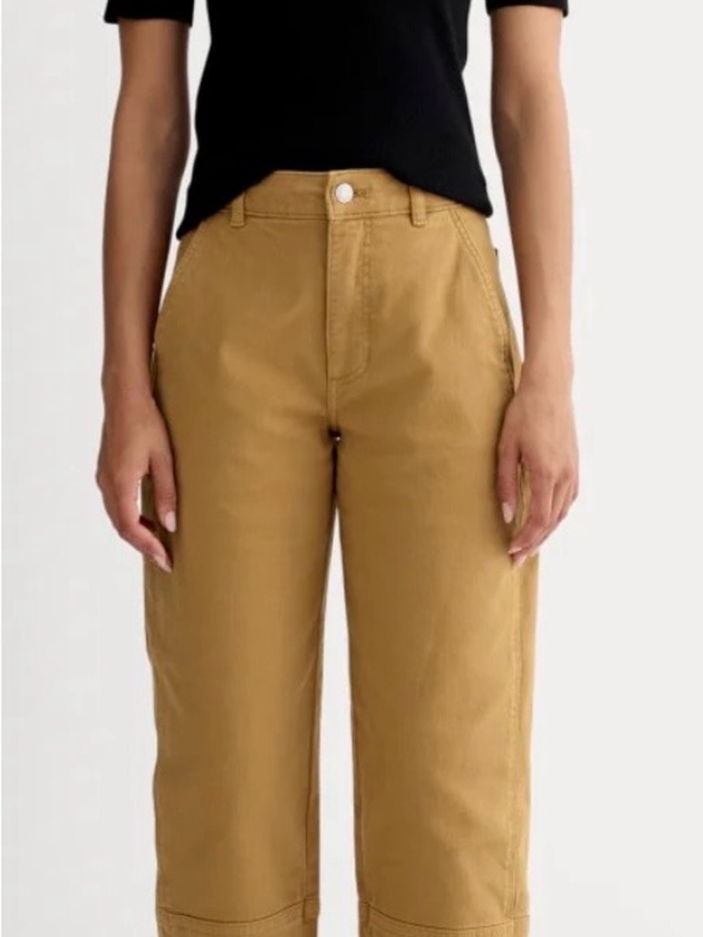 Everlane Utility Barrel Pant Rust-Tone High-Waist Pants